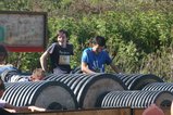 thumbnails/005-IMG_3760.JPG.small.jpeg